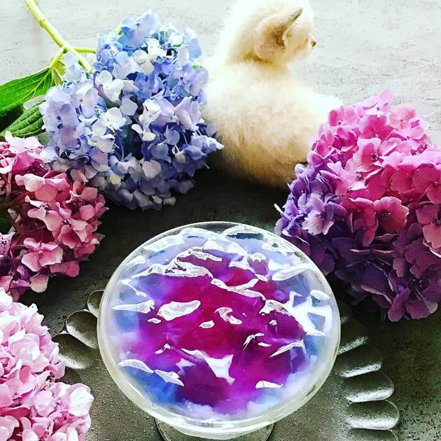 期間限定 Snsで大反響 あじさいゼリー 美しすぎる4選 かき氷シロップで簡単再現 くふうlive