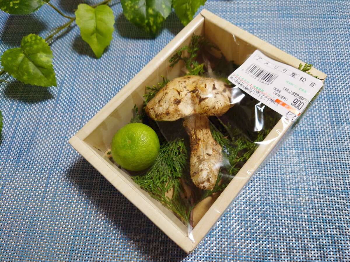 テレビでも話題【スーパーアキダイ】「1枚約22円」衝撃的安さに「ありがとう」が止まらない！おすすめ6選 ヨムーノ