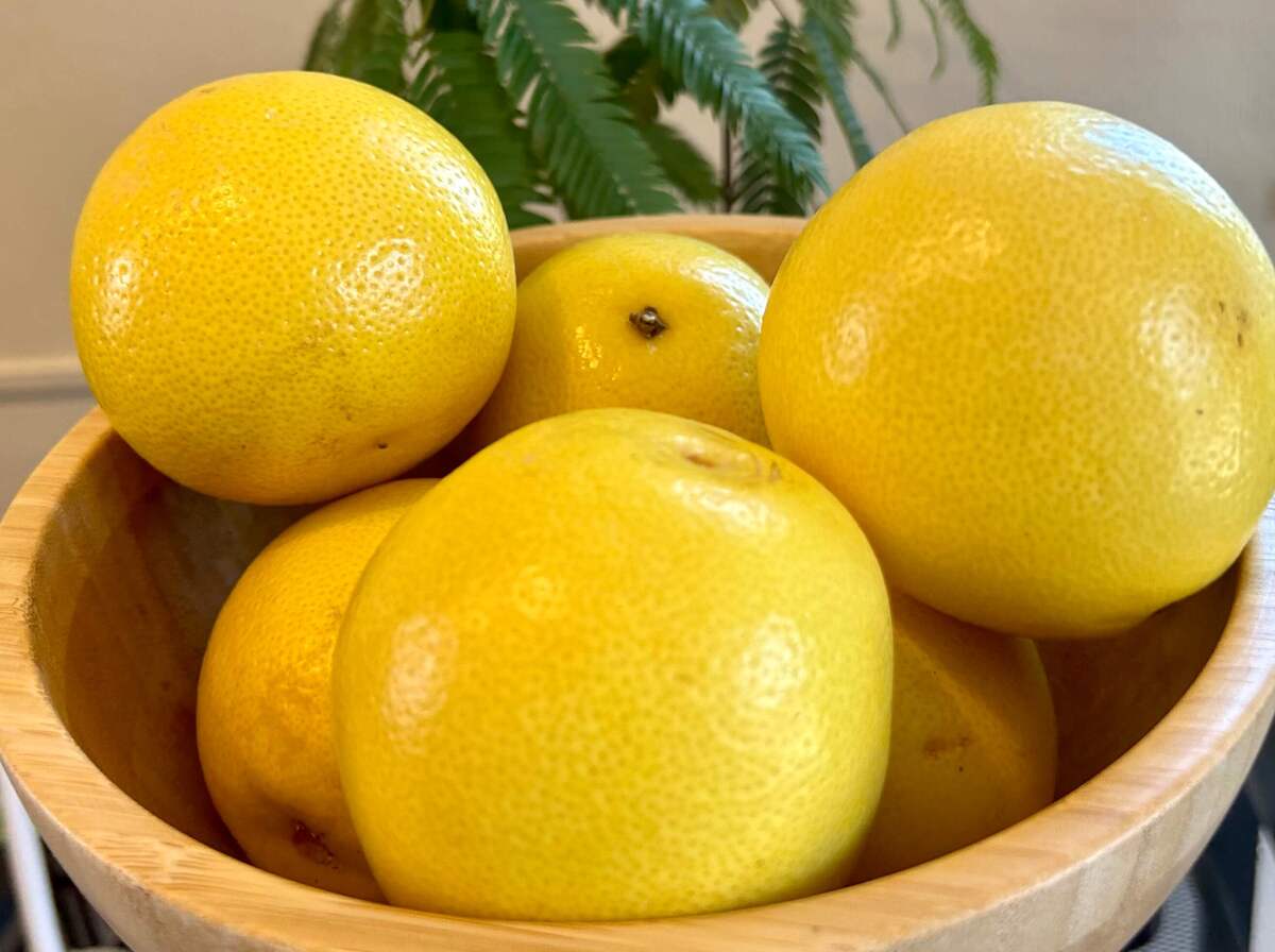 ロピアもオーケーも真っ青!【激安店ave】「盛りフルーツ500円以下」「海外スーパー風」で完全乗り換え ヨムーノ